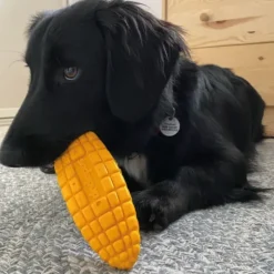 Sodapup Sodapup Corn On The Cob Durable Nylon Chew Toy