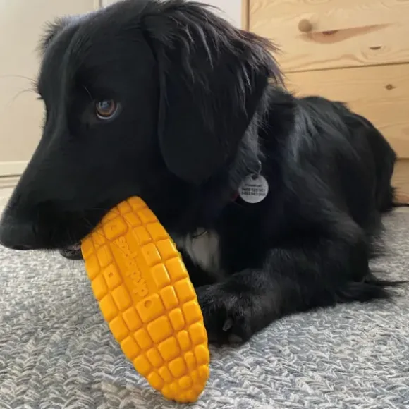 Sodapup Sodapup Corn On The Cob Durable Nylon Chew Toy