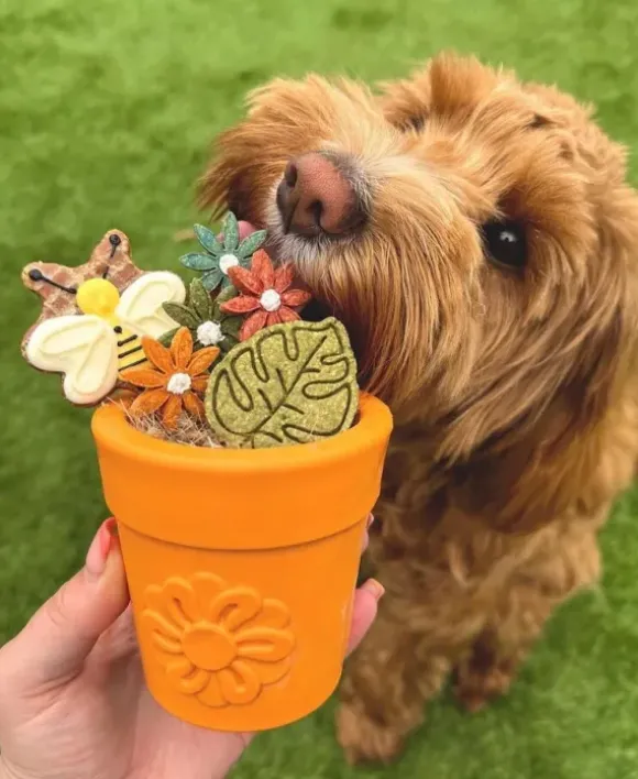 Sodapup Sodapup Flower Pot Large Rubber Enrichment Toy