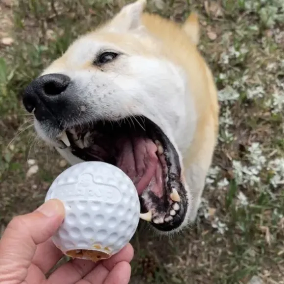 Sodapup Sodapup Golf Ball Rubber Treat Dispenser & Enrichment Toy