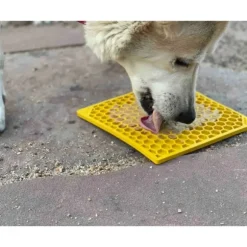 Sodapup Sodapup Honeycomb Enrichment Likmat