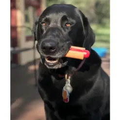 Sodapup Sodapup Hot Dog Durable Nylon Chew Toy