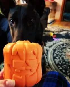Sodapup Sodapup Jack O' Lantern Toy & Treat Dispenser