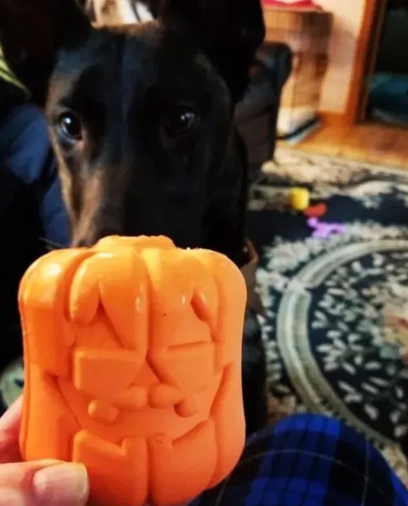 Sodapup Sodapup Jack O' Lantern Toy & Treat Dispenser