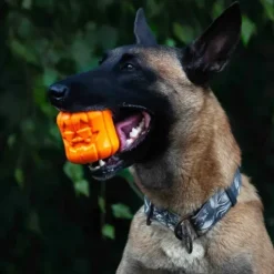 Sodapup Sodapup Jack O' Lantern Toy & Treat Dispenser