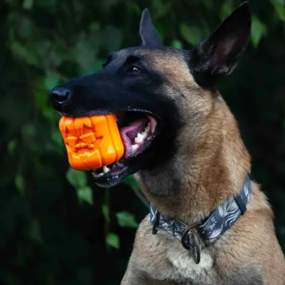 Sodapup Sodapup Jack O' Lantern Toy & Treat Dispenser