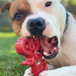 Sodapup Sodapup Key To The Heart Durable Nylon Chew Toy