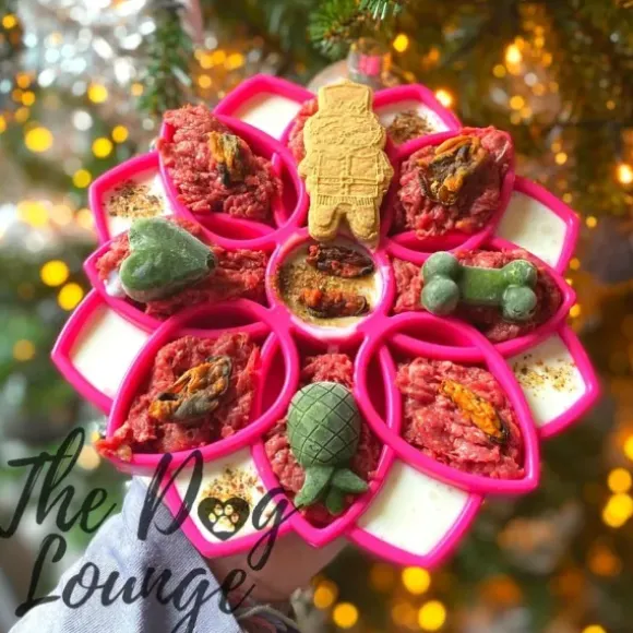 Sodapup Sodapup Mandala Enrichment Tray