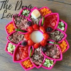 Sodapup Sodapup Mandala Enrichment Tray