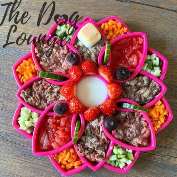 Sodapup Sodapup Mandala Enrichment Tray