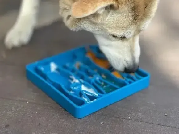 Sodapup Sodapup Waiting Dogs Design Enrichment Tray