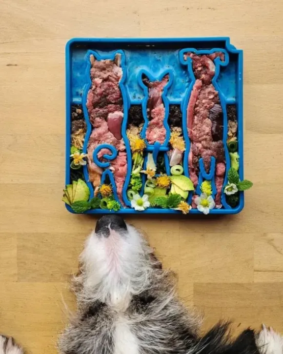 Sodapup Sodapup Waiting Dogs Design Enrichment Tray