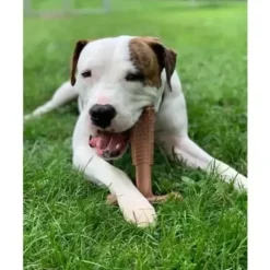 Spot Bam-Bones Plus Easy Grip