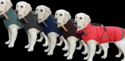 Superfur Superfur Rainy Hondenjas