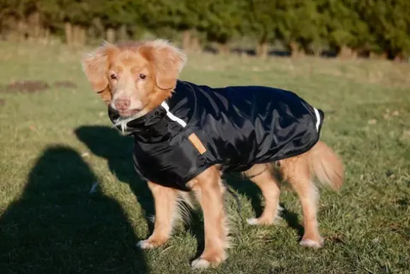 Superfur Superfur Rainy Hondenjas