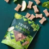 Tribal Koekjes Appel, Munt En Gember