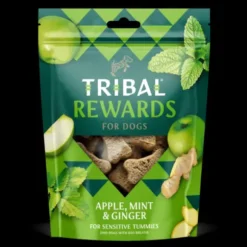 Tribal Koekjes Appel, Munt En Gember