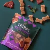 Tribal Koekjes Lever En Lavendel