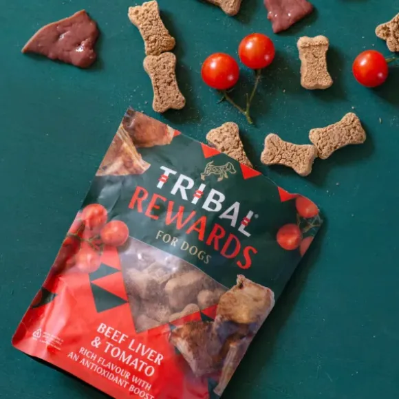 Tribal Koekjes Rund En Tomaat