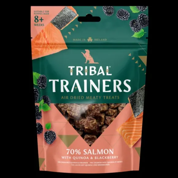 Tribal Tribal Trainers Zalm & Braambes
