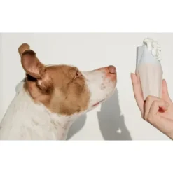 Up Dog Toys The Ubbe Puzzelspeeltje