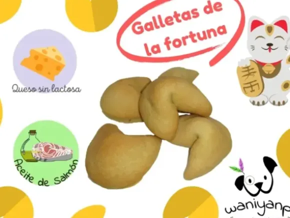 Waniyanpi Waniyanpi Gelukskoekjes Voor Honden